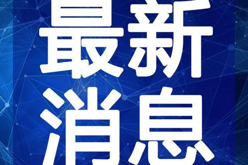 武安最新爆料新闻视频,视频揭露惊人内幕,真相即将揭晓